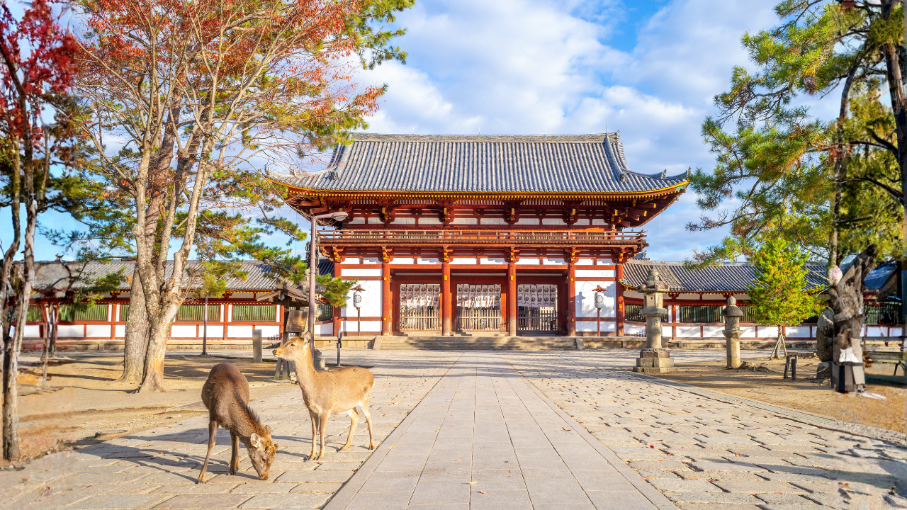 Nara y Kobe
