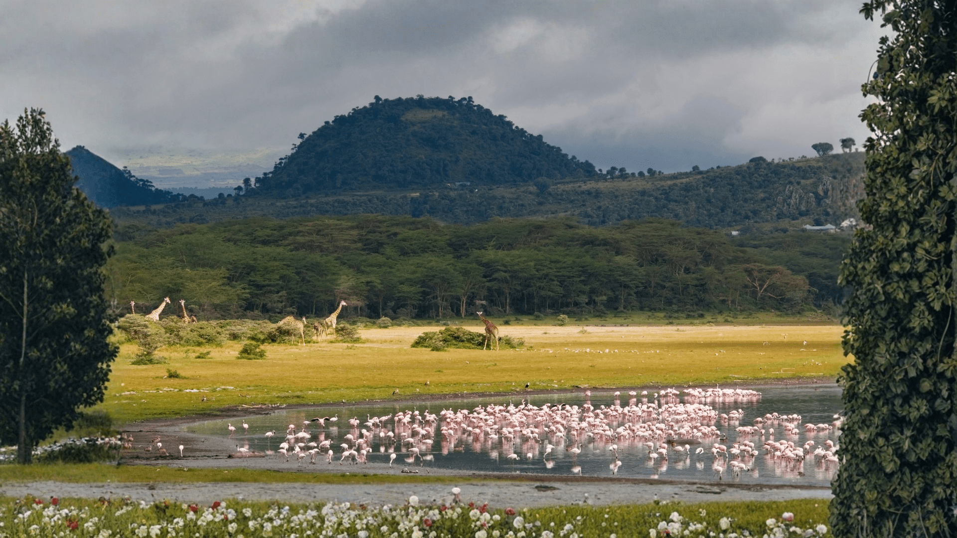 Naivasha