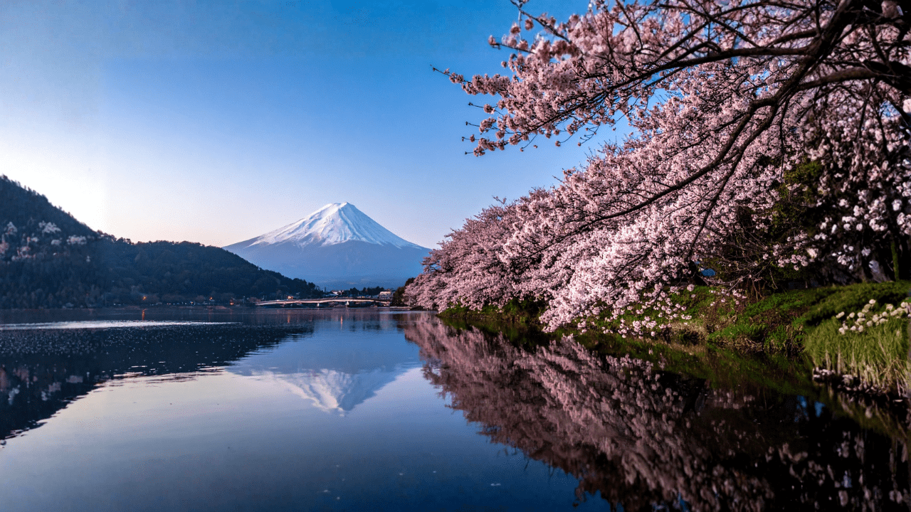 Hakone y Monte Fuji