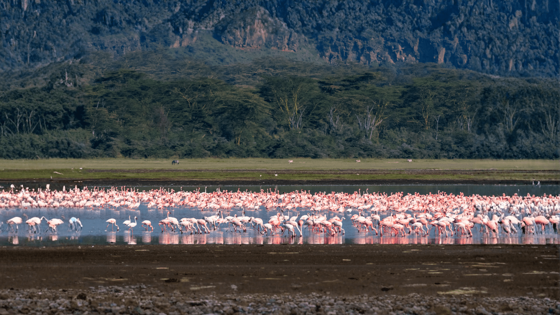 Nakuru