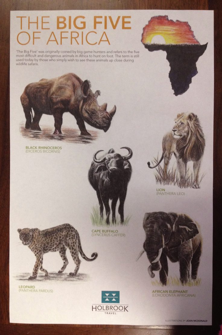 Big Five