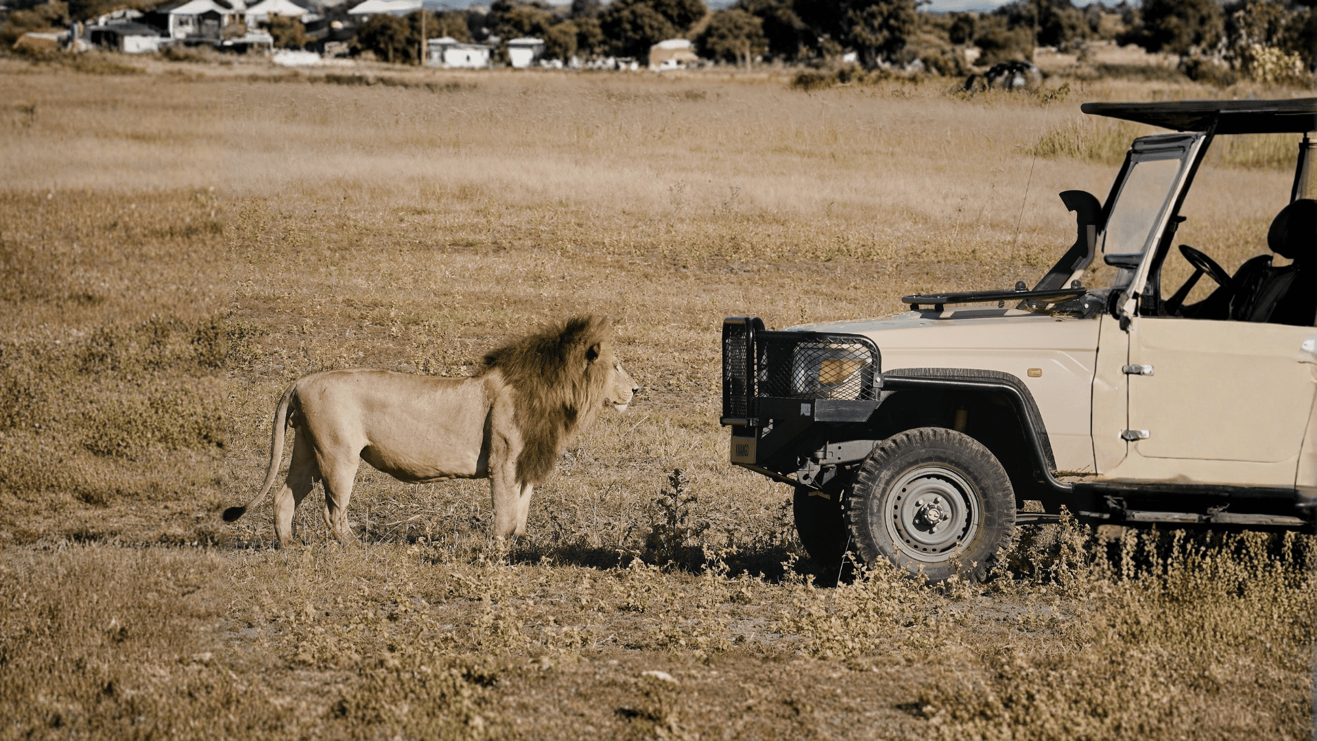 Safari Amboseli