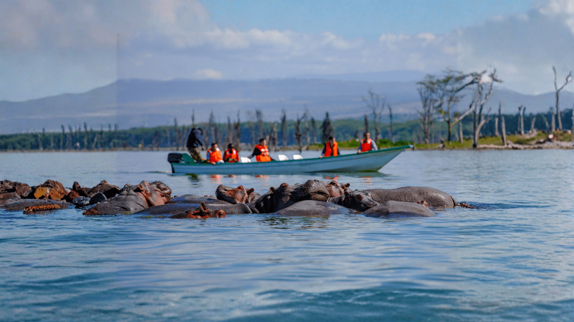 Lago Naivasha