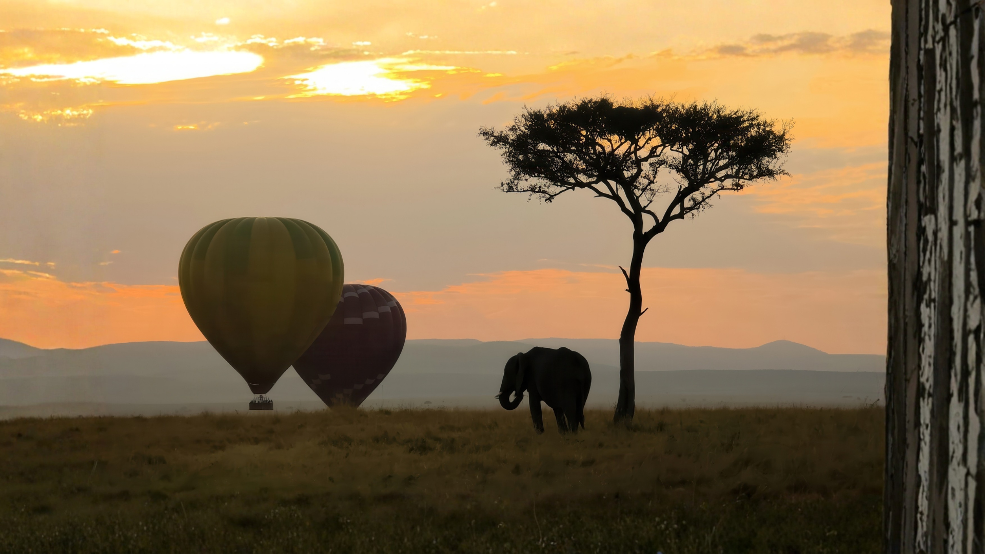 Safari en Globo