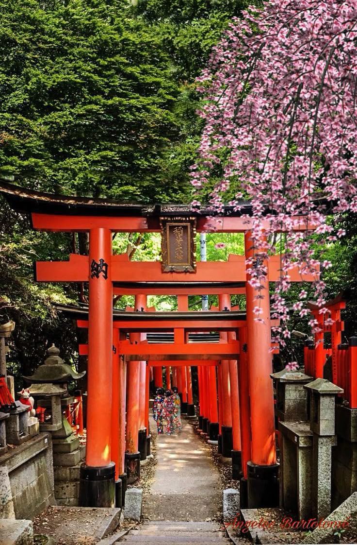 Torii Fushimi Inari
